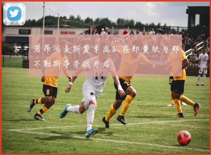 若昂戈麦斯夏季离队在即曼联与那不勒斯争夺战开启