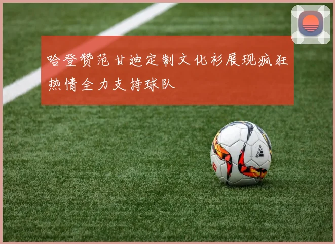 哈登赞范甘迪定制文化衫展现疯狂热情全力支持球队