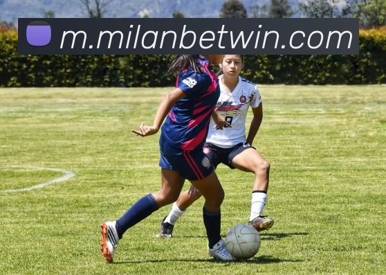 米兰体育APP 体育赛事宣传图